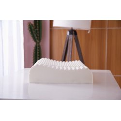 花雨伞 泰国进口乳胶枕（按模型）