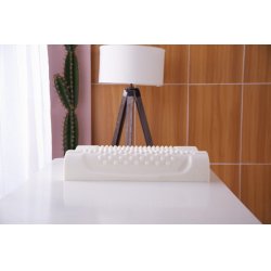 花雨伞 泰国进口乳胶枕（按模型）